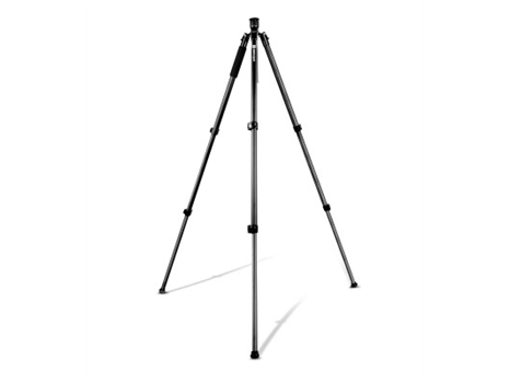 Matterport Pro Series Tripod Maximum height
